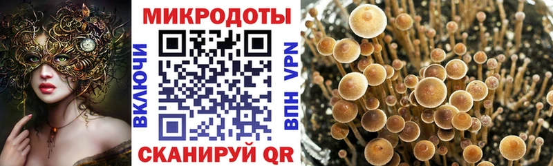 где купить наркоту  Всеволожск  Псилоцибиновые грибы ЛСД 